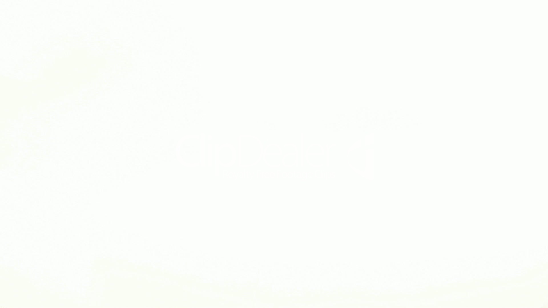 white-background-ctdynlc4