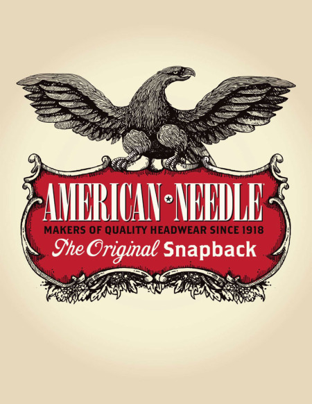 aneedle