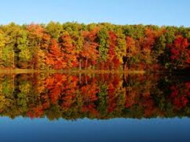 Fall Favorites: Boots By Nike, Timberland and More!