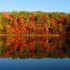 Fall Favorites: Boots By Nike, Timberland and More!